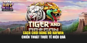 Cách Chơi Rồng Hổ Haywin: Chiến Thuật Thực Tế Hiệu Quả