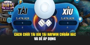 Cách Chơi Tài Xỉu Tại Haywin Chuẩn Xác Và Dễ Áp Dụng