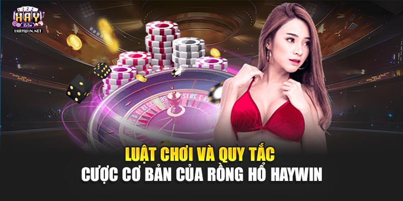 Luật chơi và quy tắc cược cơ bản của Rồng Hổ Haywin